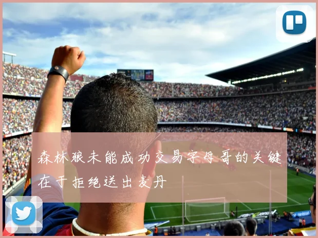 森林狼未能成功交易字母哥的关键在于拒绝送出麦丹